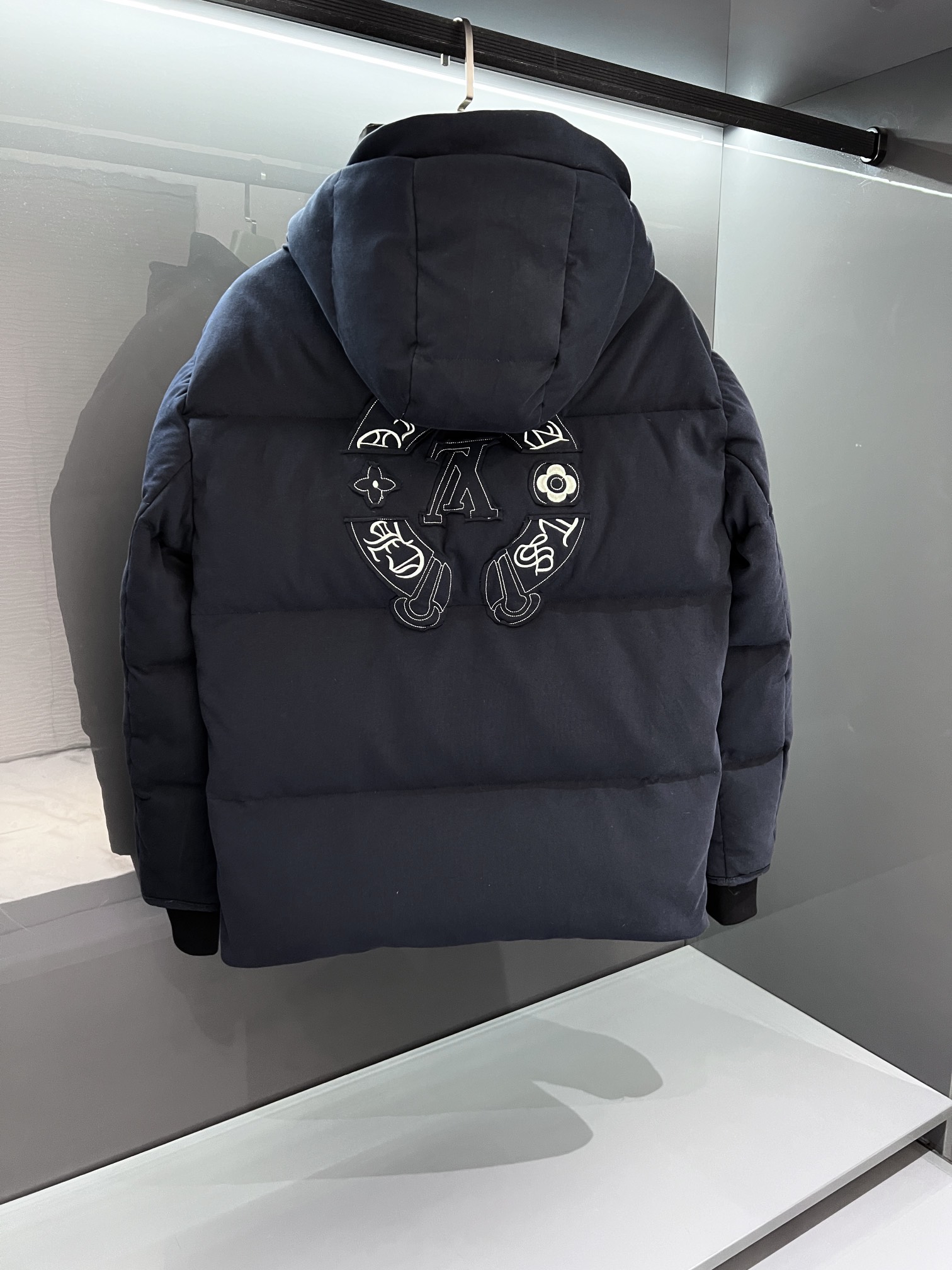 Louis Vuitton Down Jackets